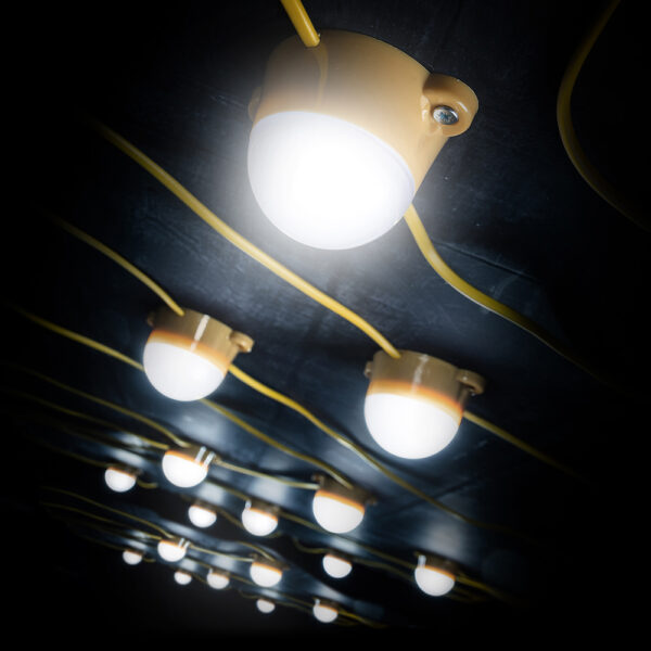 DEF 110V 50M LED FESTOON (POD)
